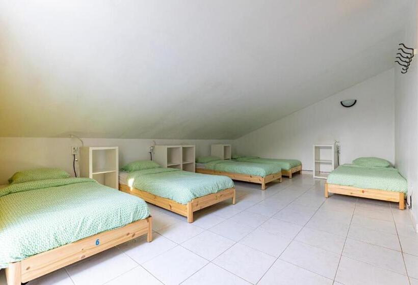 Кровать в Общей Комнате, Pineapple Surf House
