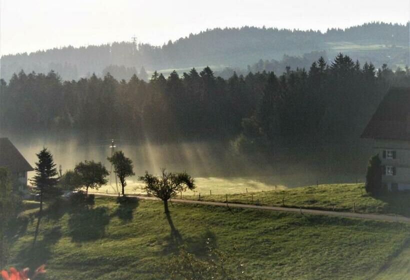 Апартаменты 1 Спальня, Bio Bauernhof Heidegger