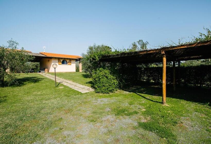 Студио Стандарт Вид на Сад, Agriturismo Casa Andreina