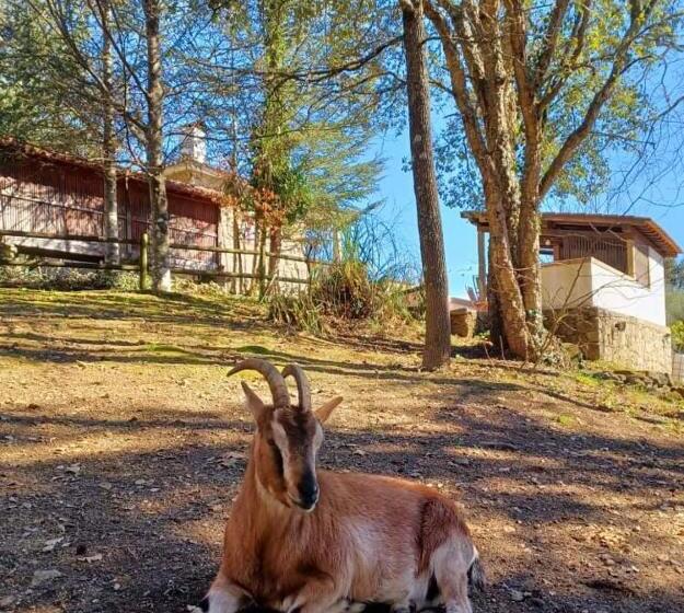 Номер Стандарт, Quinta Da Chouza Agroturismo E Enoturismo