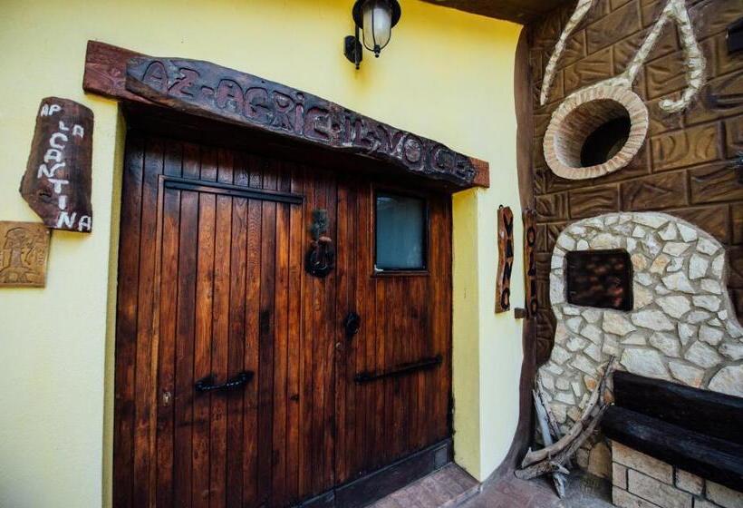 Студия Стандарт, Agriturismo Il Noce