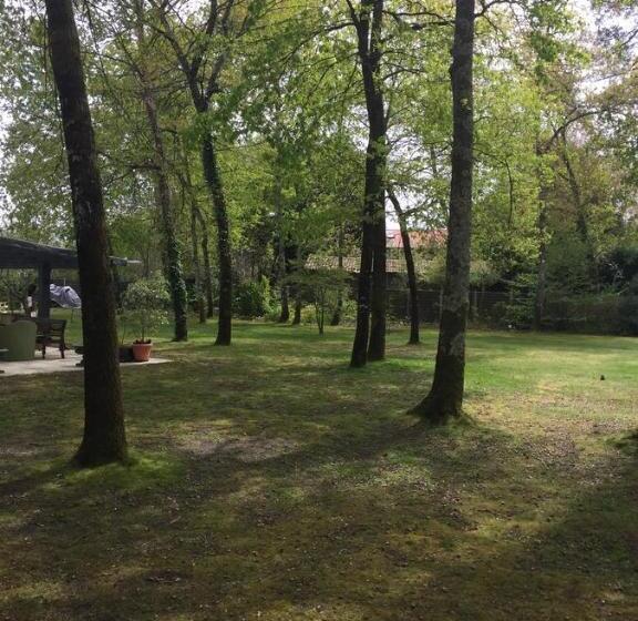 Номер Стандарт, La Maison De Caroline
