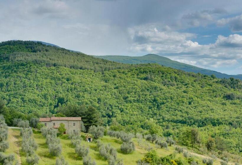 Дом 1 Спальня, Agriturismo Bindozzino