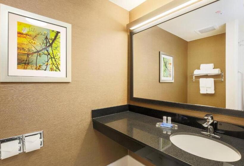 اتاق استاندارد با تخت بزرگ, Fairfield By Marriott Inn & Suites Las Vegas Stadium Area