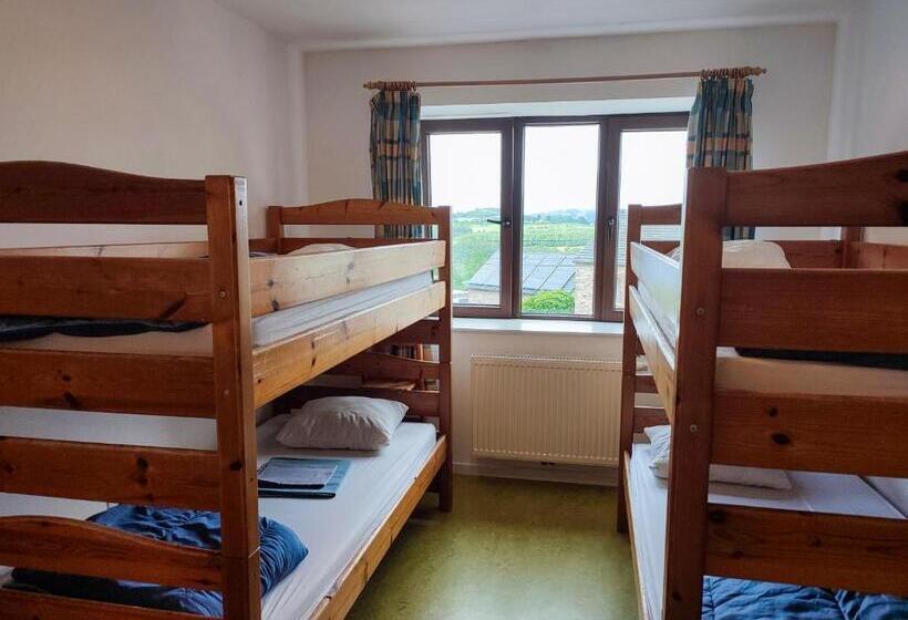 Номер Стандарт Четырехместный Совместный Санузел, Le Fagotin   Youth Hostel