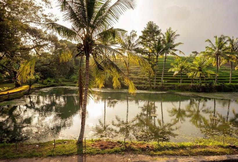 수피리어 방갈로, Alam Taman Villa