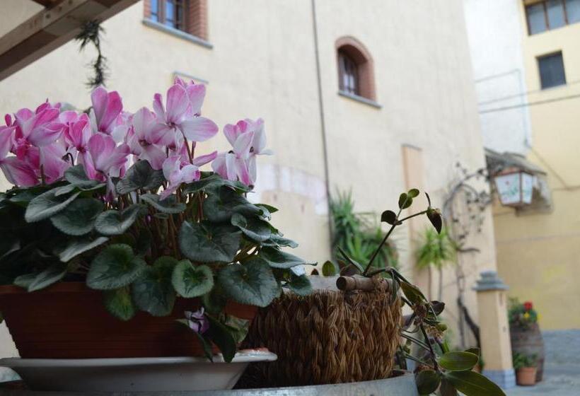 Апартаменты Пентхаус 1 Спальня, Agriturismo Del Pigato   Bio Vio