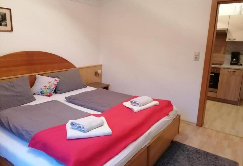 Апартаменты 1 Спальня с Балконом, Landhotel Oberwengerhof