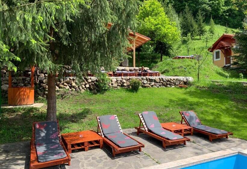 Дом 4 Спальни, Hétvezér Panzió