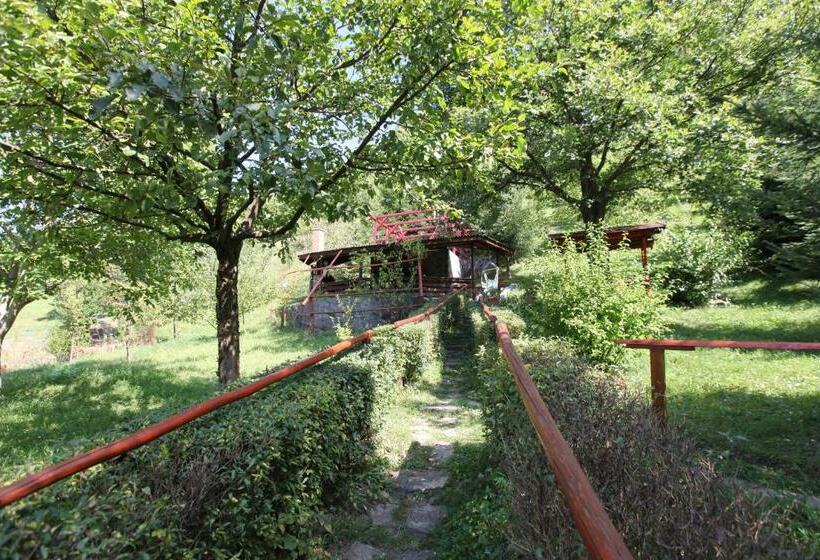 Дом 4 Спальни, Hétvezér Panzió