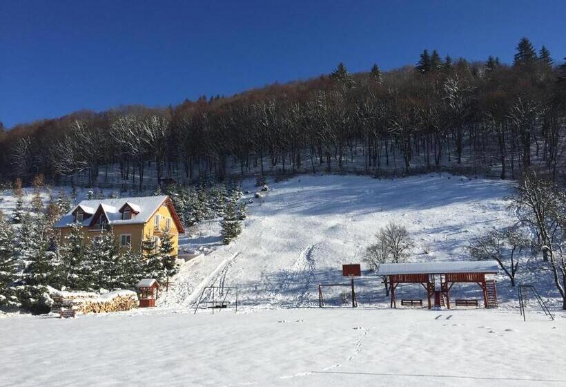Дом 4 Спальни, Hétvezér Panzió