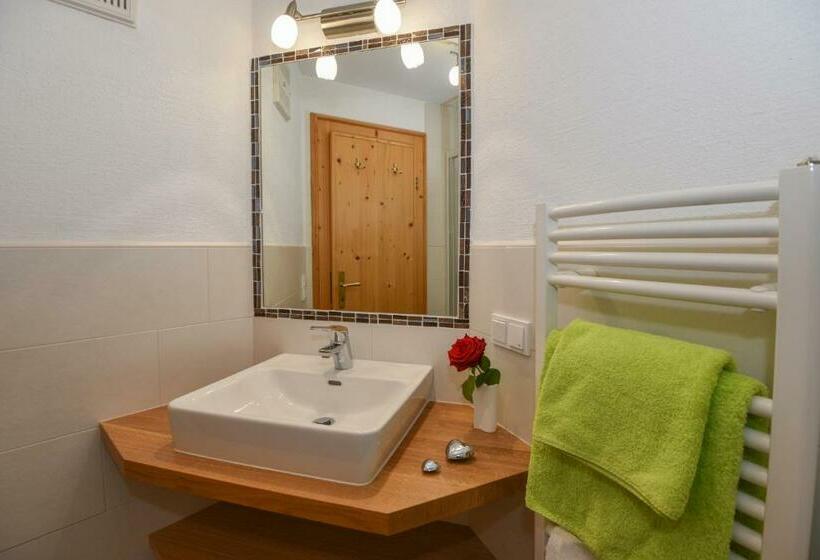 استودیو استاندارد با بالکن, Landhaus Trinker