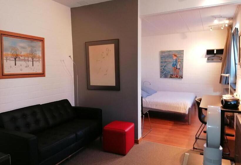 Студия Стандарт, Studio S Park   Heverlee