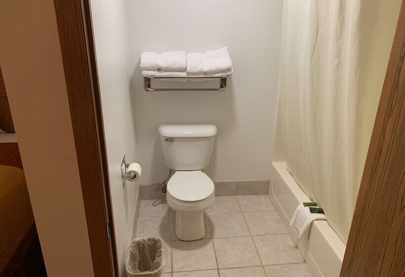 Люкс Кровать Кинг, Budgetinn & Suites