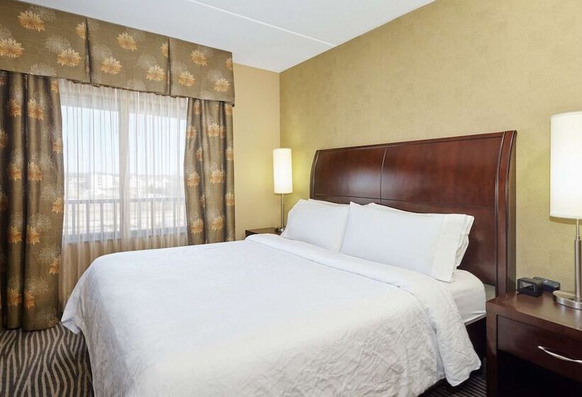 小型套房, Hilton Garden Inn Indianapolis Northwest