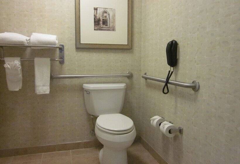 Номер Стандарт, Hilton Garden Inn Omaha East/council Bluffs
