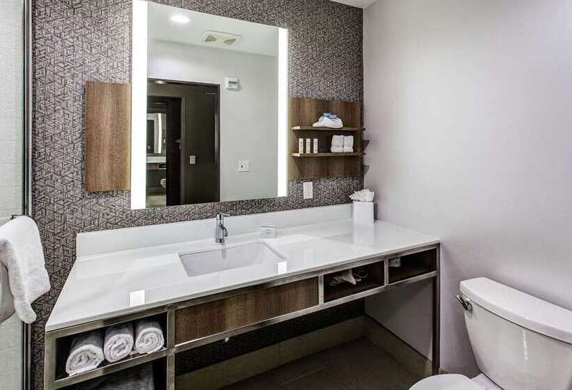 Номер Стандарт, Hilton Richardson Dallas