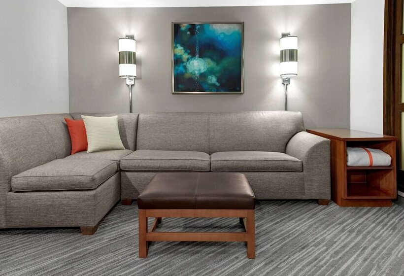 Номер Стандарт 2 Двуспальные Кровати, Hyatt Place Atlanta / Alpharetta / Windward Parkway