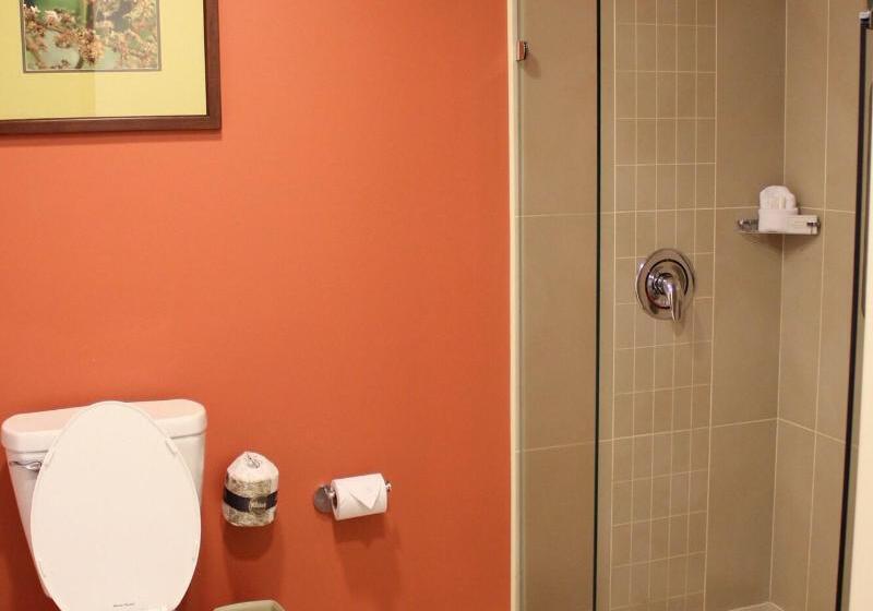 اتاق استاندارد با تخت بزرگ, Hyatt Place Savannah Airport