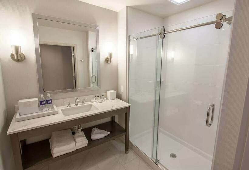 Люкс, Renovo Des Moines Urbandale,tapestry Collection Hilton
