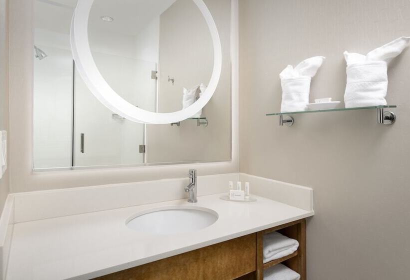 Студия Стандарт, Springhill Suites Potomac Mills Woodbridge