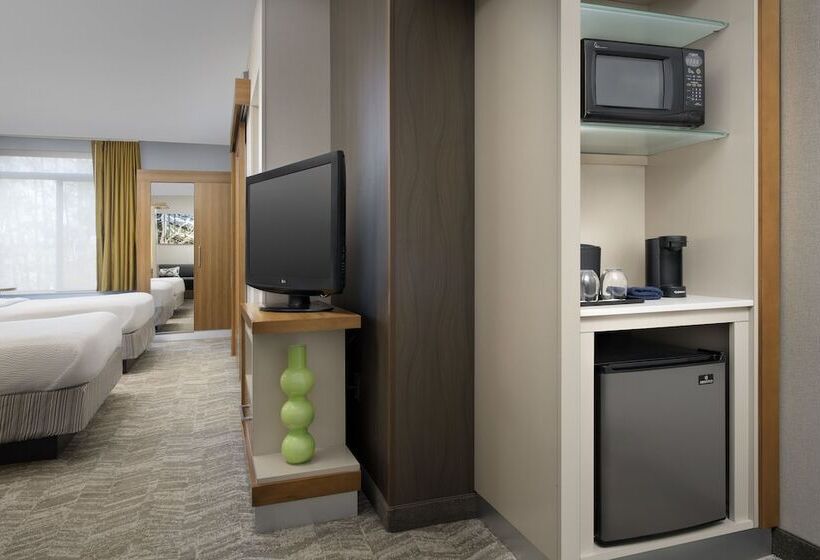 Студия Стандарт, Springhill Suites Potomac Mills Woodbridge