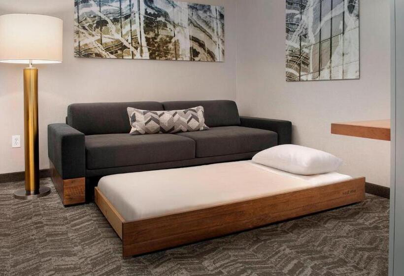 Студио Стандарт Кровать Кинг, Springhill Suites Potomac Mills Woodbridge