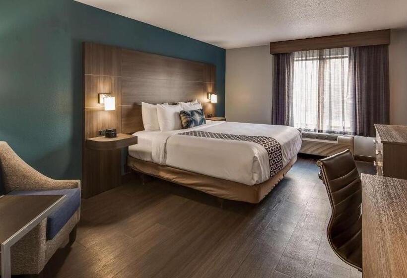 Mozgáskorlátozott Standard Szoba King Size Bed, Best Western  Plus Champaign/urbana Inn