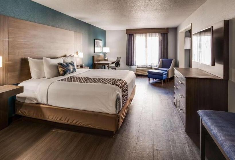 Standard Szoba King Size Bed, Best Western  Plus Champaign/urbana Inn