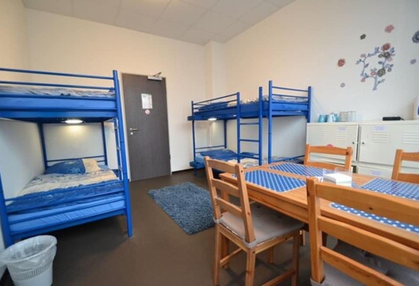 带共用卧室公用房间的床, Arena Hostel & Monteurzimmer