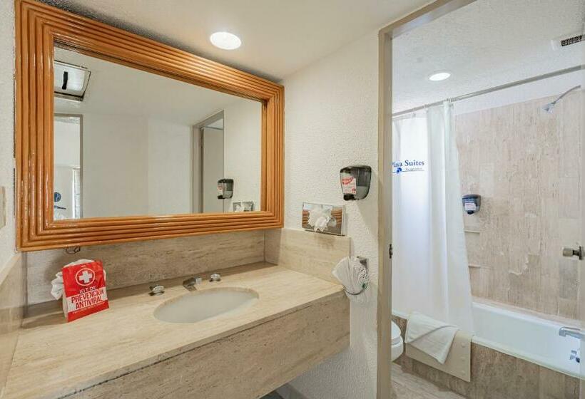 スタンダードスタジオ, Playa Suites Acapulco