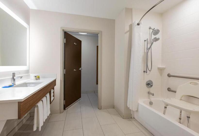 Номер Стандарт, Holiday Inn Express Hotel & Suites Opelika Auburn, An Ihg