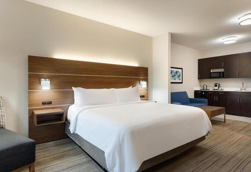 Стандартный Номер Кровать Кинг, Holiday Inn Express Hotel & Suites Opelika Auburn, An Ihg