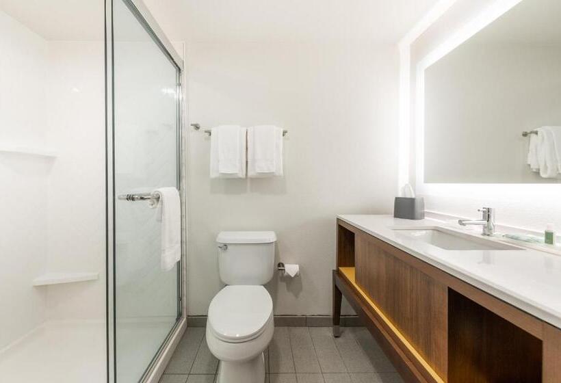 Стандартный Номер Кровать Кинг, Holiday Inn Hotel & Suites   Orange Park   Wells Rd