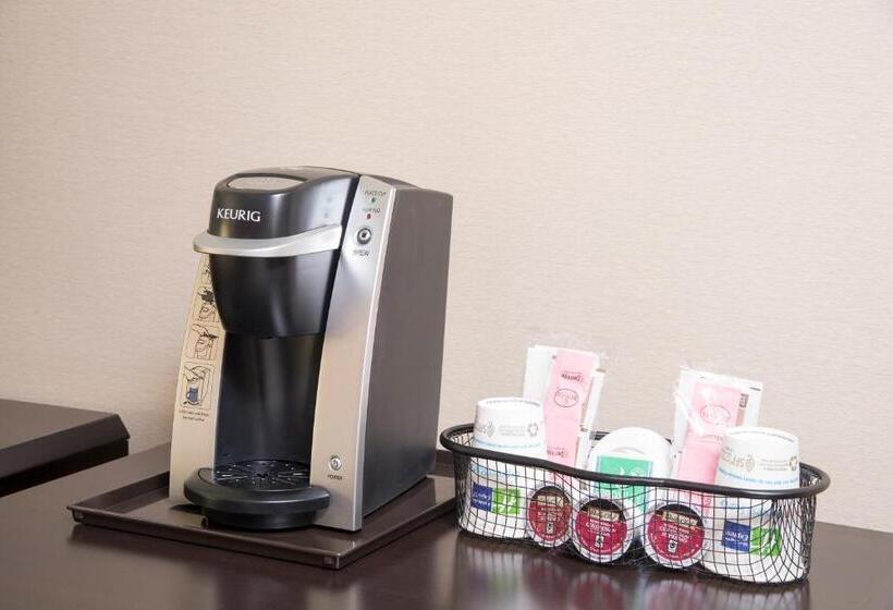 스탠다드 룸 킹사이즈 침대, Holiday Inn Express Hotel & Suites Grand Rapids North, An Ihg