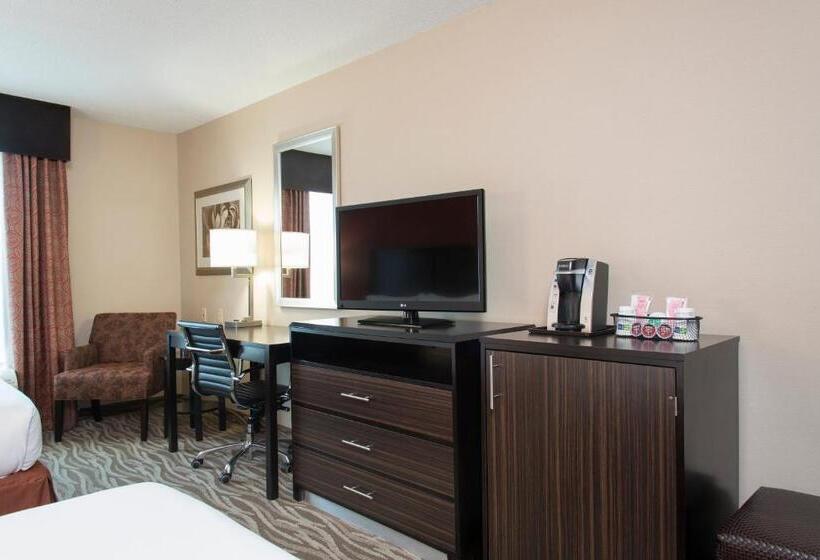 장애인을 위한 킹사이즈 침대 스탠다드 룸, Holiday Inn Express Hotel & Suites Grand Rapids North, An Ihg