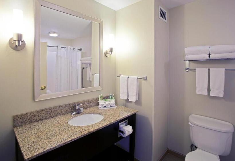 장애인을 위한 스탠다드 룸, Holiday Inn Express Hotel & Suites Grand Rapids North, An Ihg