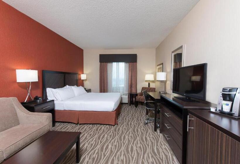 스탠다드 룸 킹사이즈 침대, Holiday Inn Express Hotel & Suites Grand Rapids North, An Ihg