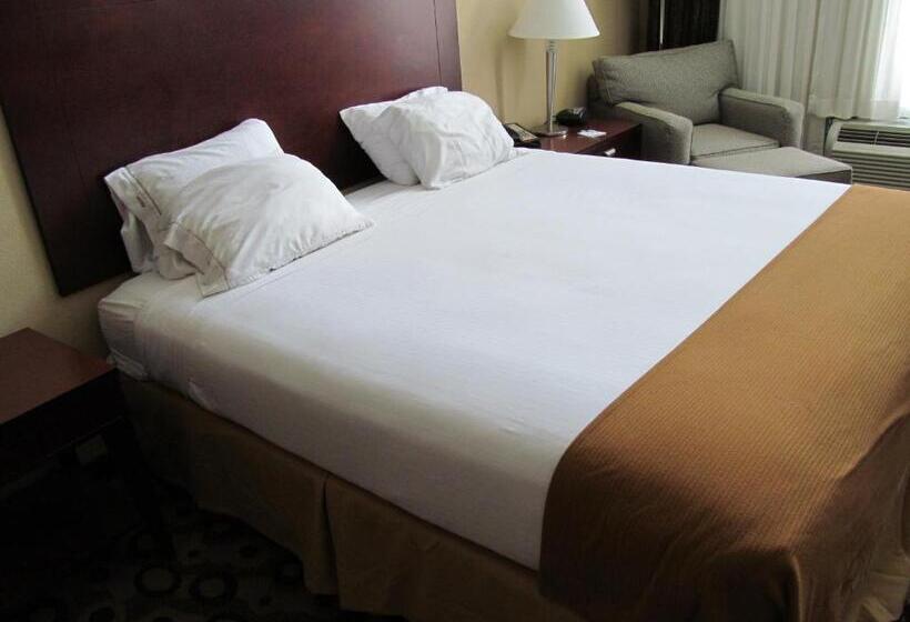 חדר סטנדרט עם מיטת קינג, Holiday Inn Express & Suites Macon   I 475, An Ihg