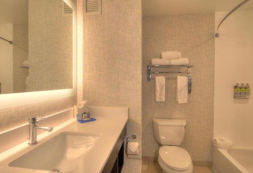 Люкс Кровать Кинг, Holiday Inn Express Hotel & Suites Mobile Saraland, An Ihg