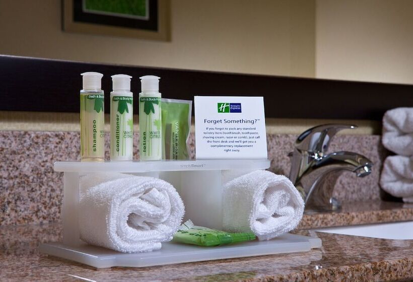 Люкс, Holiday Inn Express Hotel & Suites Saginaw, An Ihg