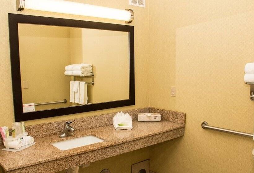 Номер Стандарт, Holiday Inn Express Hotel & Suites Saginaw, An Ihg