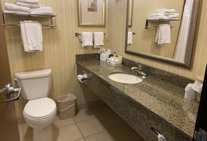 Люкс с Балконом, Holiday Inn Express Hotel & Suites Silt   Rifle, An Ihg