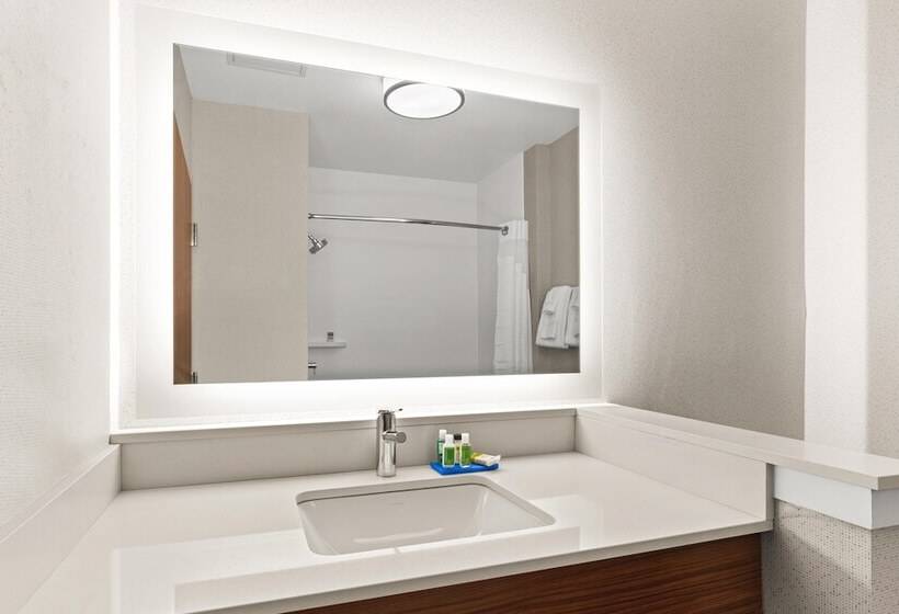 Люкс, Holiday Inn Express Hotel & Suites Willows, An Ihg