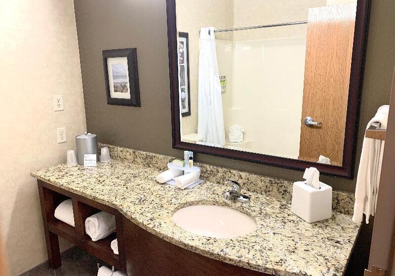 Стандартный Номер Кровать Кинг, Holiday Inn Express Holland, An Ihg