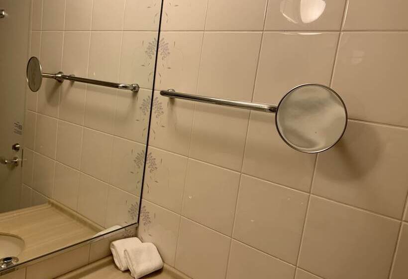 اتاق سوپریور, Rihga Royal Hotel Niihama