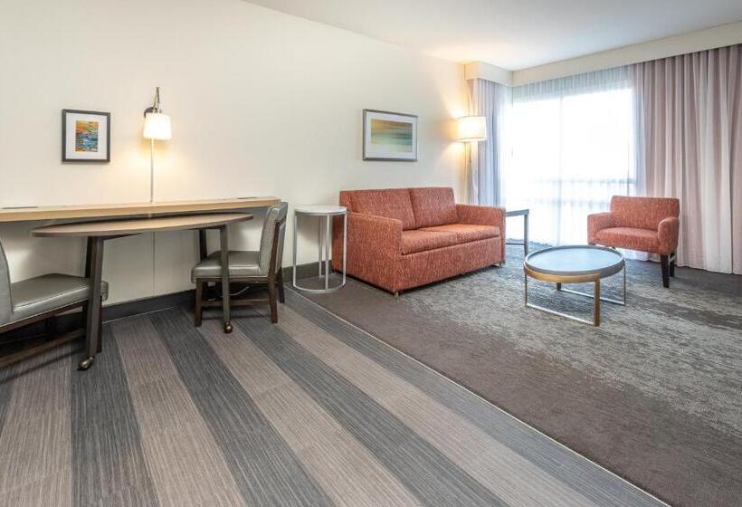 Suite Letto King, Holiday Inn Hotel & Suites Memphis Wolfchase Galleria, An Ihg