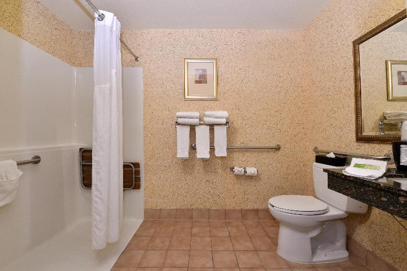 Стандартный Номер Кровать Кинг, Holiday Inn Express Hotel & Suites Idaho Falls, An Ihg