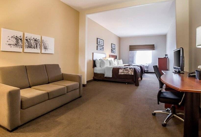 Люкс, Sleep Inn & Suites