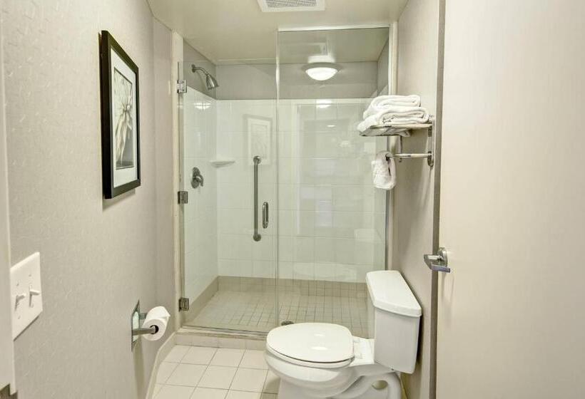 Студия Стандарт, Springhill Suites By Marriott New Bern